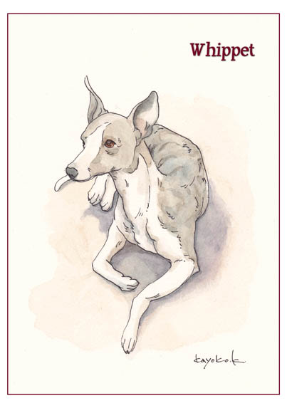 ペットの似顔絵犬 Artboard ペット肖像画 オーダーメイド Artist Kayoko アートなペットの似顔絵 や作品ならkeytosmile