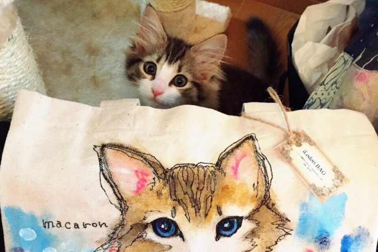 ネコの似顔絵バック　猫 　ランチバックサイズ　【Art Bagシリーズ 　iLodori aico】オーダーメイド